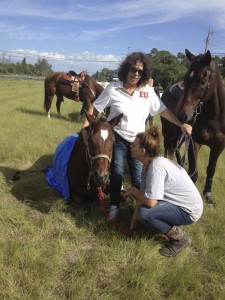 Jodie Alvarez (kneeling) and her mother Ellen Alvarez comfort Logan after he collapsed on a trail ride. Logan has on the Equi Cool Down wrap that Jodie said helped to save his life. (Image via Johnny Robb/Palm Beach Post)